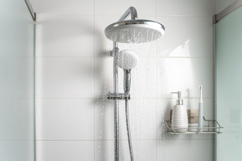 Shower Area with Multi-Function Showerhead